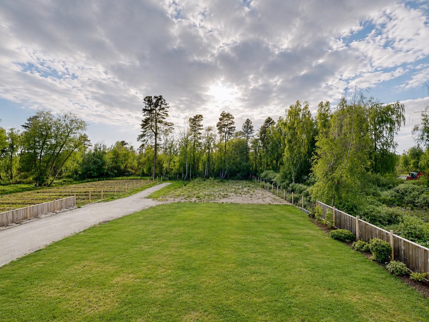 Additional image 4 of 7341 No. 5 Road, Richmond, BC, V6Y 2V3