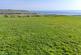 Additional image 17 of Craiglea Farm, Sliddery, Isle of Arran, North Ayrshire, KA27