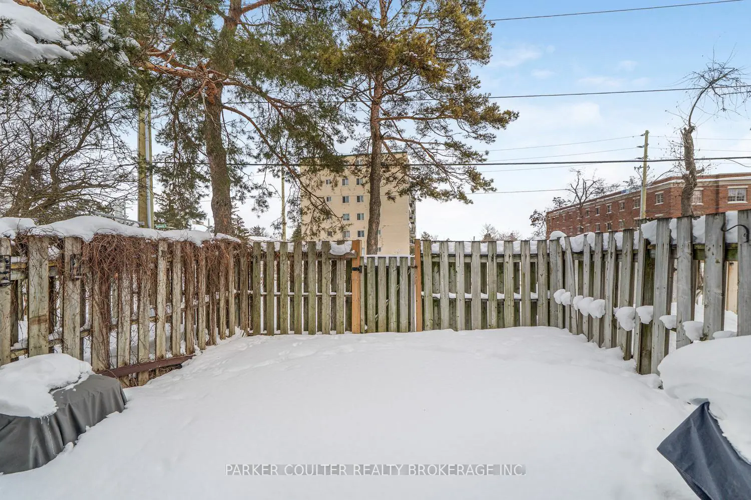 Additional image 17 of 261 Rose Street 4