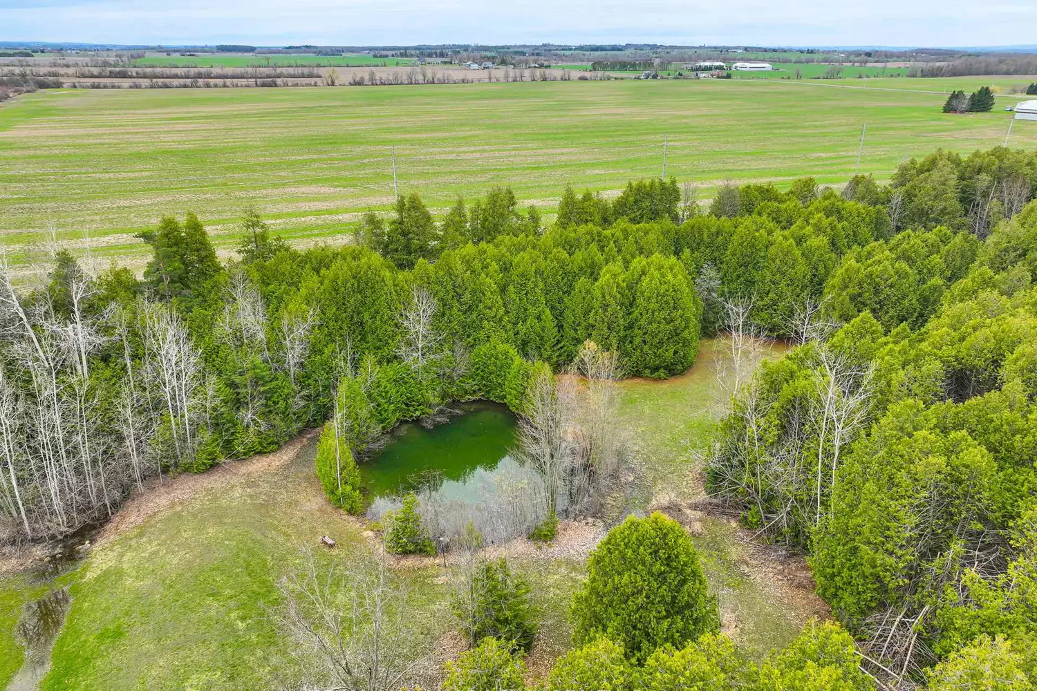 Additional image 17 of 4684 10Th Side Road