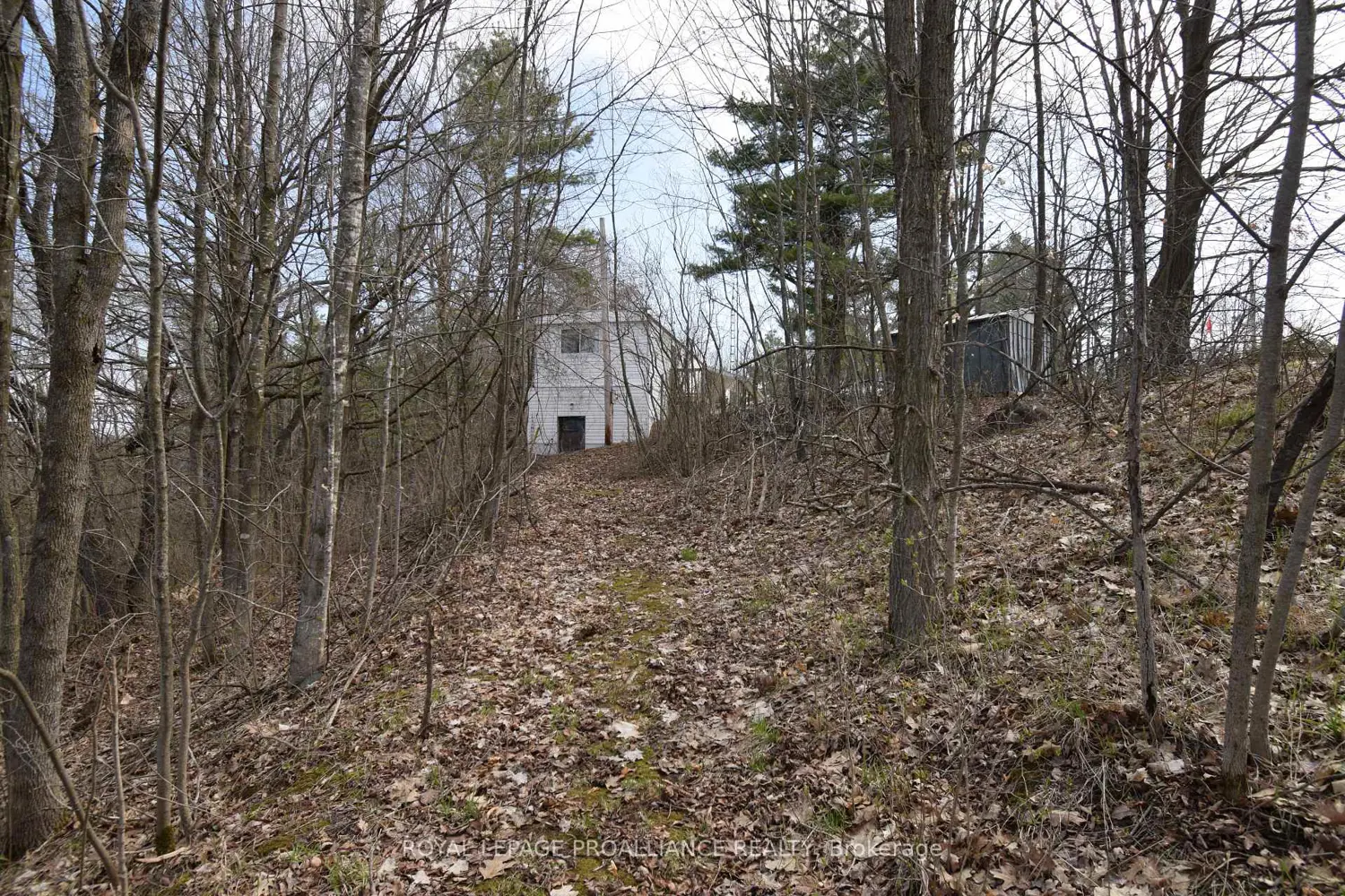 Additional image 7 of 1177 Tuftsville Road
