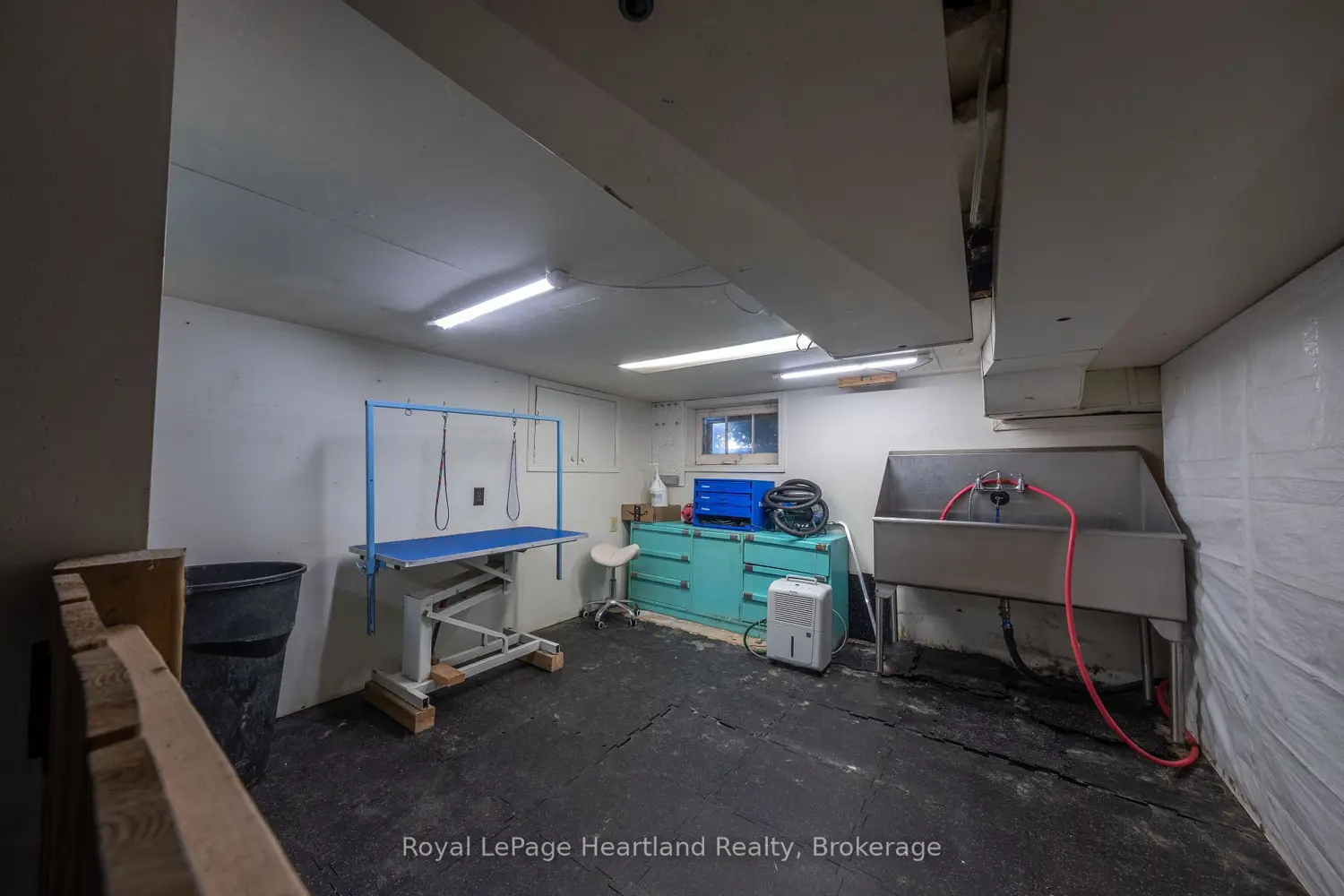Additional image 11 of 210 Leopold Street