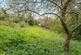Additional image 20 of Stockleigh English, Crediton, EX17