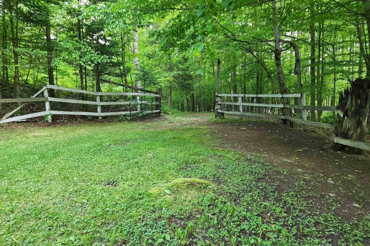 Additional image 16 of 1386 South Portage Road