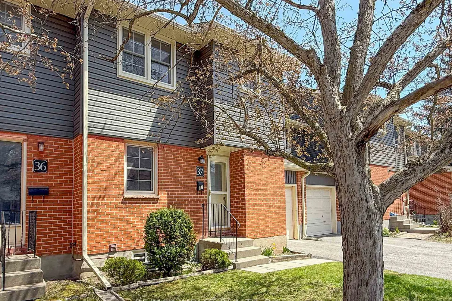 Additional image 3 of 19 Macpherson Avenue 37
