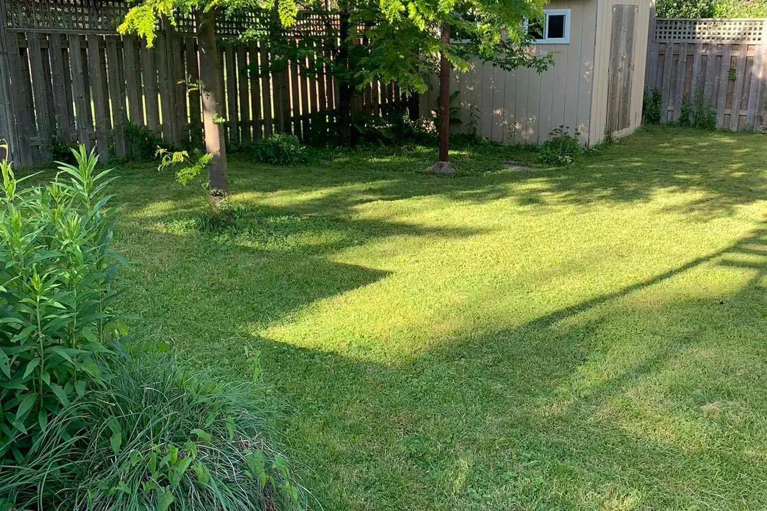 Additional image 13 of 4664 Homewood Avenue