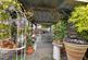 Additional image 13 of Doves Cottages, Chigwell IG7