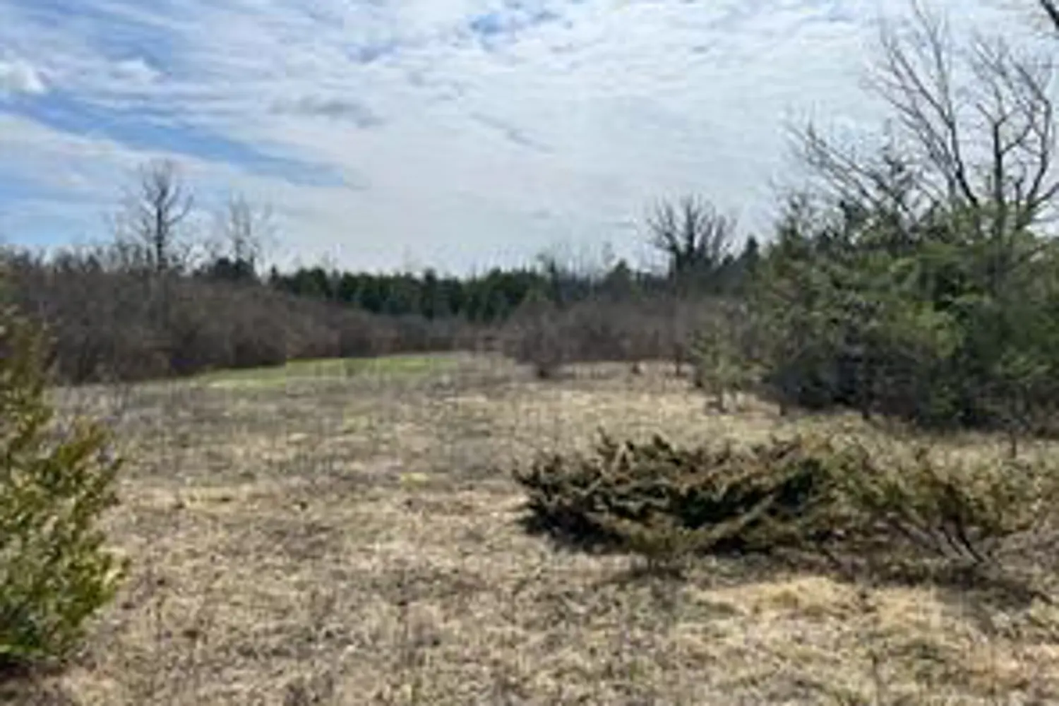 Additional image 2 of Lot 138 Bourne Road