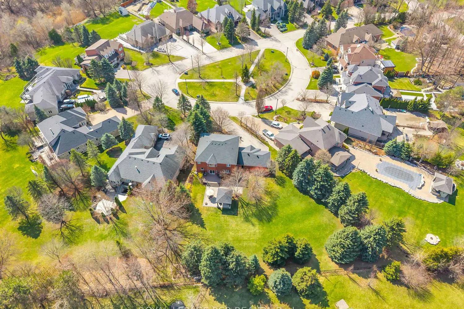 Additional image 19 of 70 English Daisy Court
