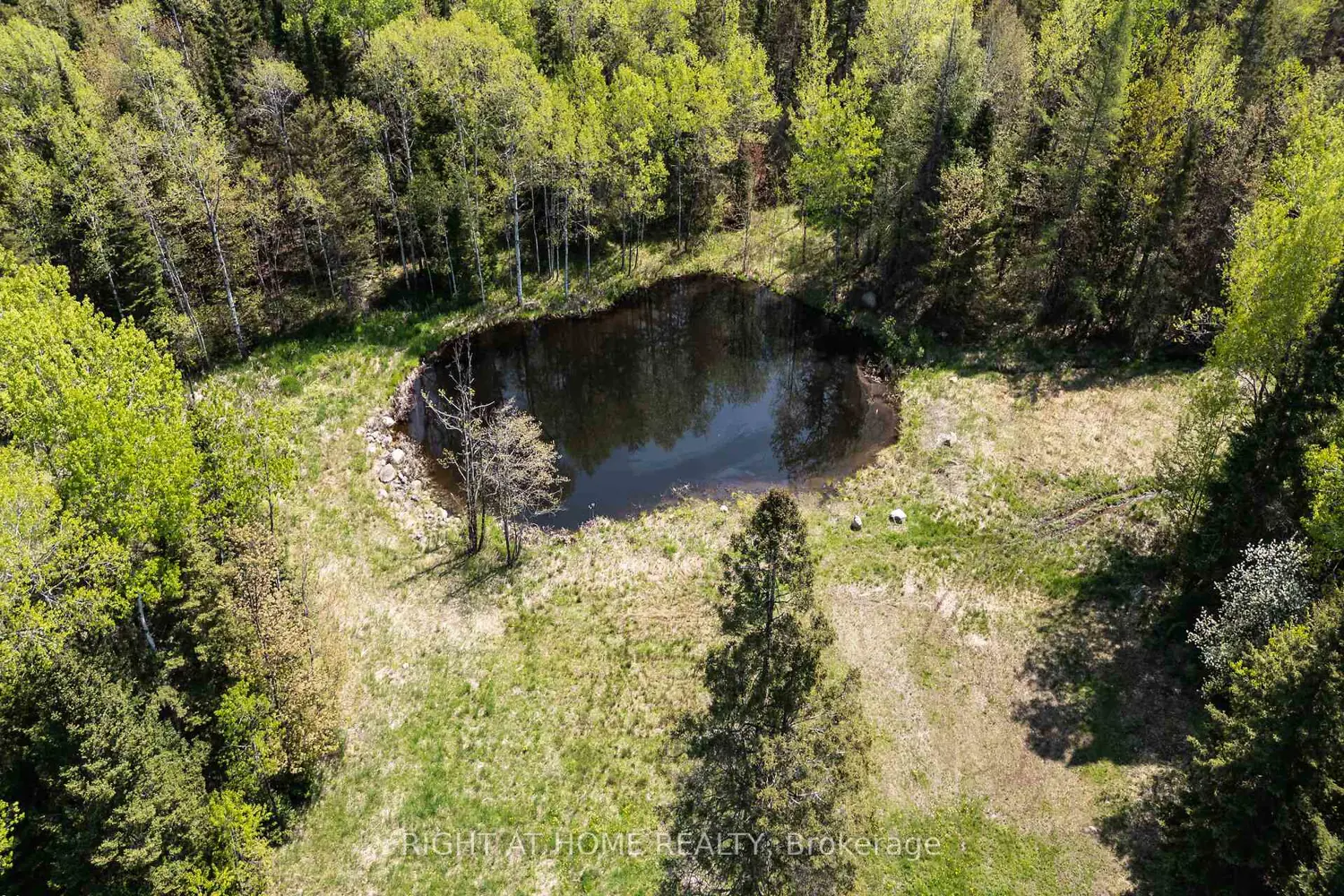 Additional image 3 of 146 Oke Drive