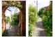Additional image 17 of New Street, Donisthorpe