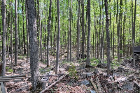 Additional image 5 of Lot 15 James Street, Tweed, ON, K0K 2L0