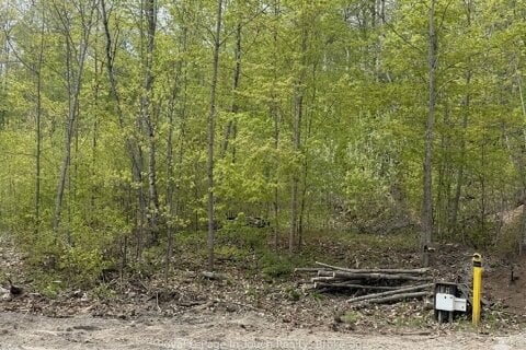 1536 Champlain Road, Tiny, ON, L9M 0C1 photo 5
