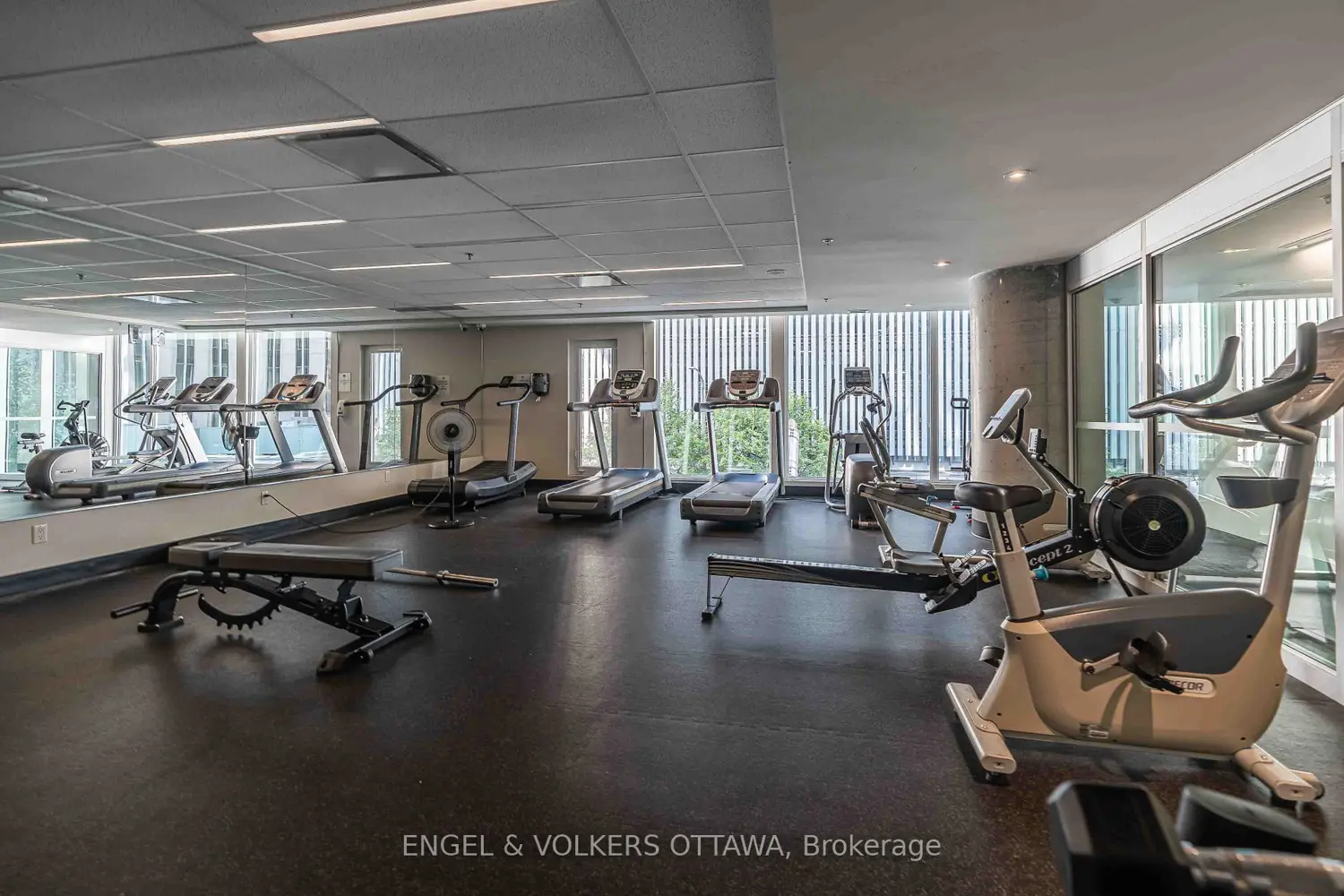 Additional image 17 of 197 Lisgar Street 207