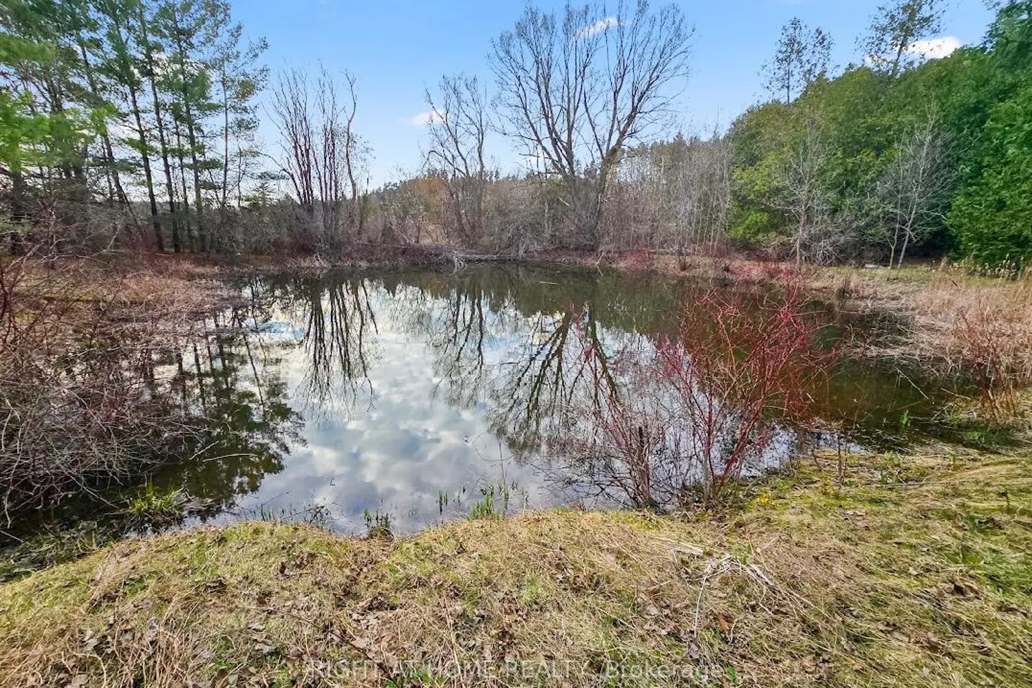 Additional image 4 of 16568 Mount Hope Road