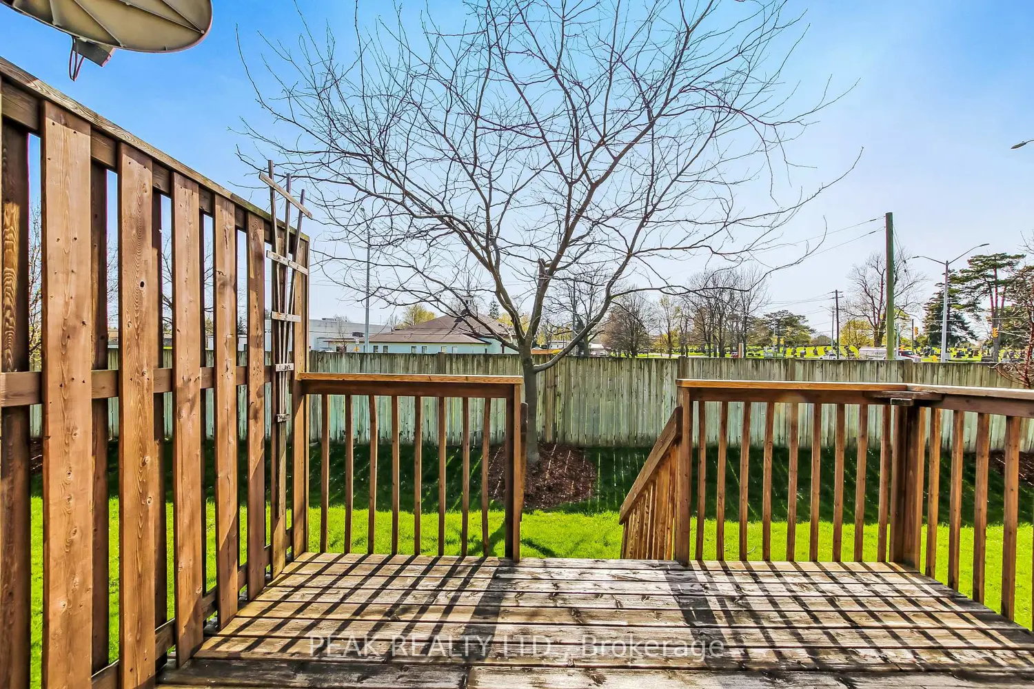 19 Hanlon Place 15 photo 2