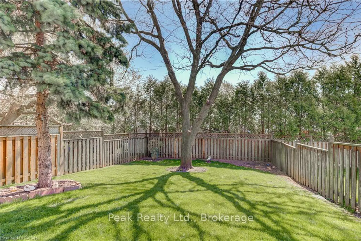Additional image 18 of 441 Nelson Street