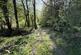 Additional image 37 of Buckland Filleigh, Beaworthy, Devon