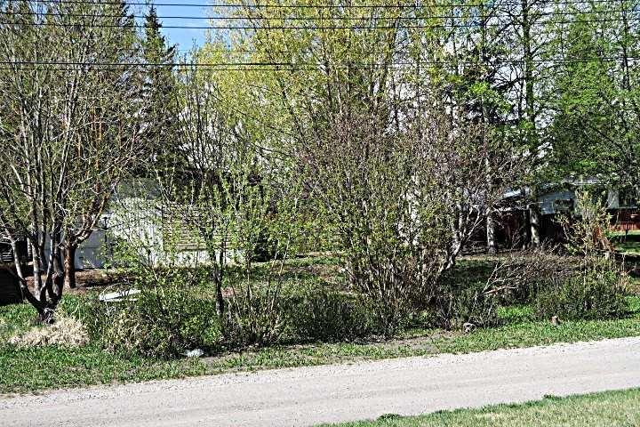 Additional image 4 of 207 4 Street NW, Sundre, AB, T0M 1X0