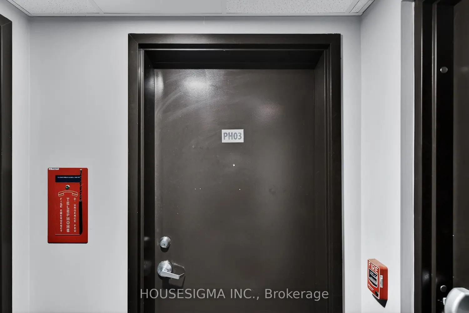 246 Lester Street Ph-03 photo 2