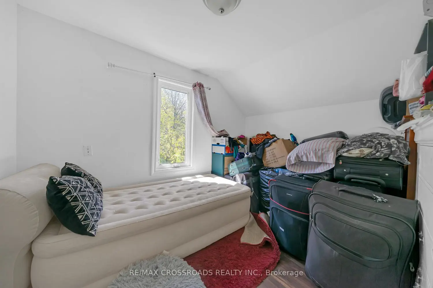 Additional image 13 of 111 Elgin Street