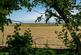 Additional image 45 of Coombe Keynes, Wareham BH20