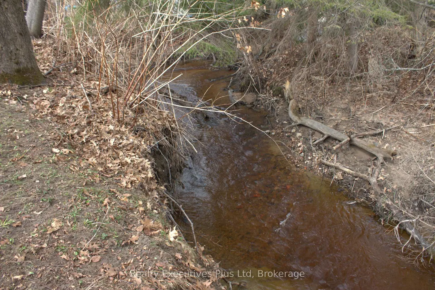 Additional image 16 of 15 Barrie Street