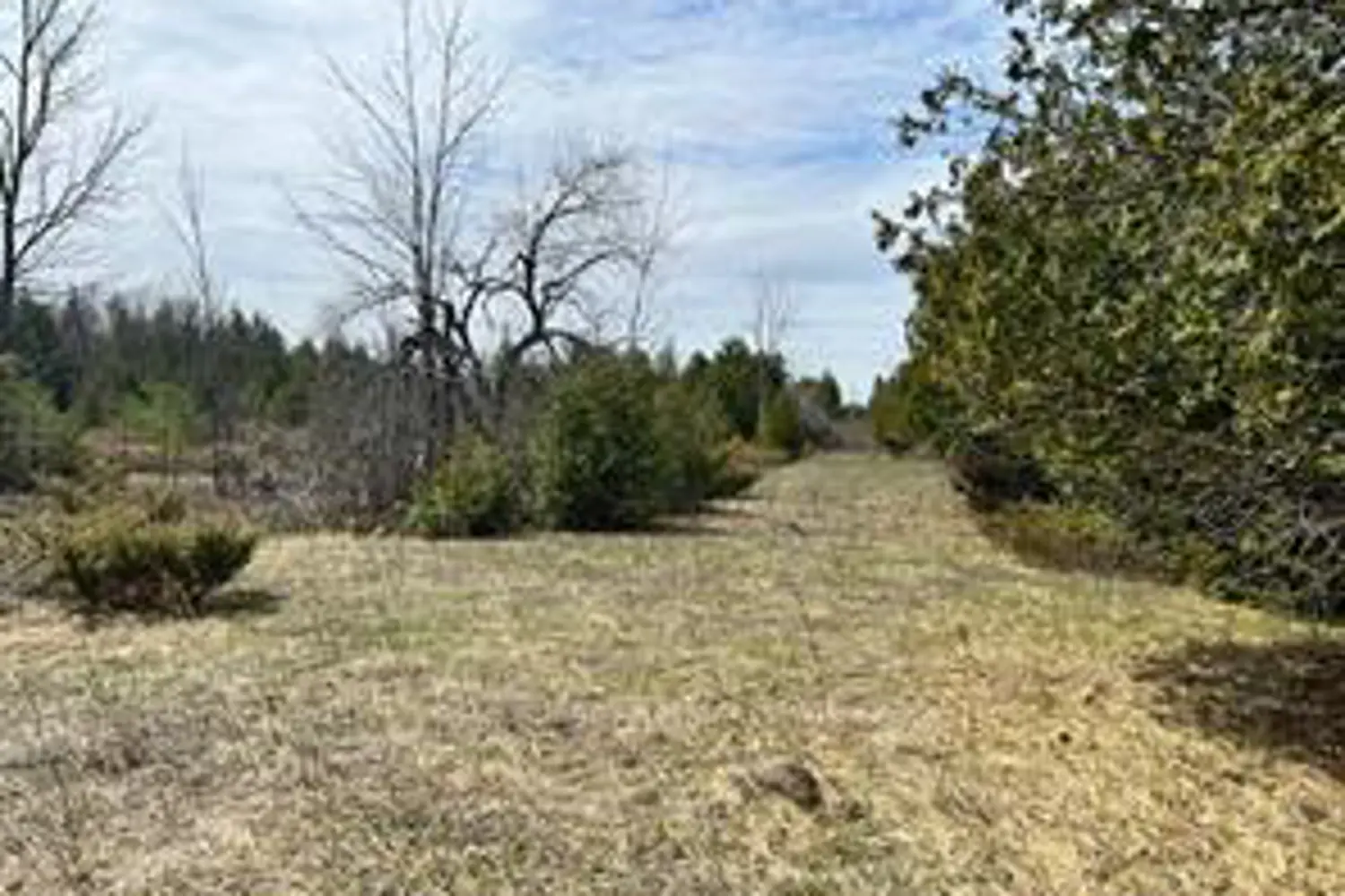 Additional image 3 of Lot 138 Bourne Road