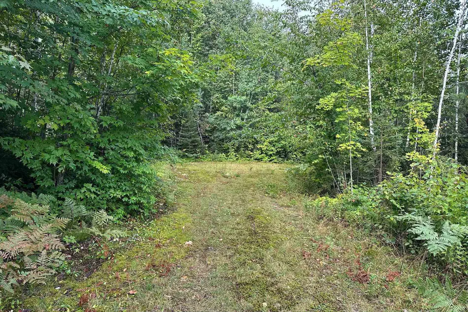 Additional image 18 of 212 Weiler Line