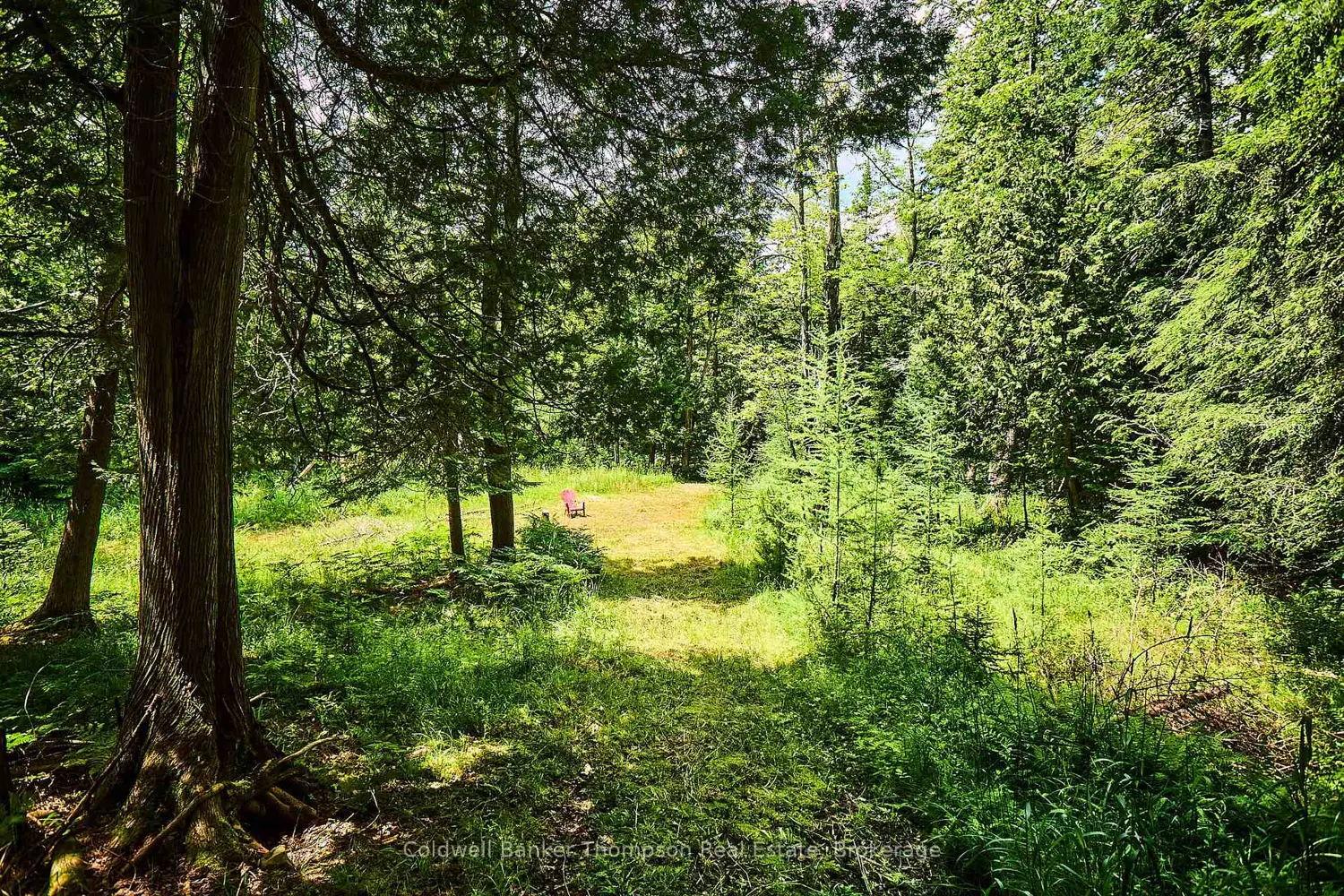 Additional image 20 of 440 Chub Lake Road