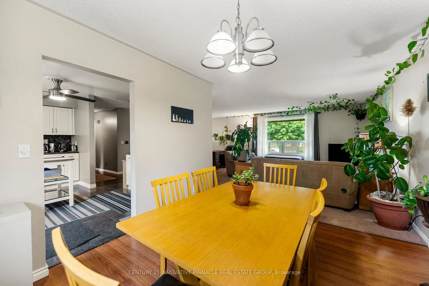 Additional image 6 of 594 Herbert Street