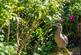 Additional image 47 of Coombe Keynes, Wareham BH20