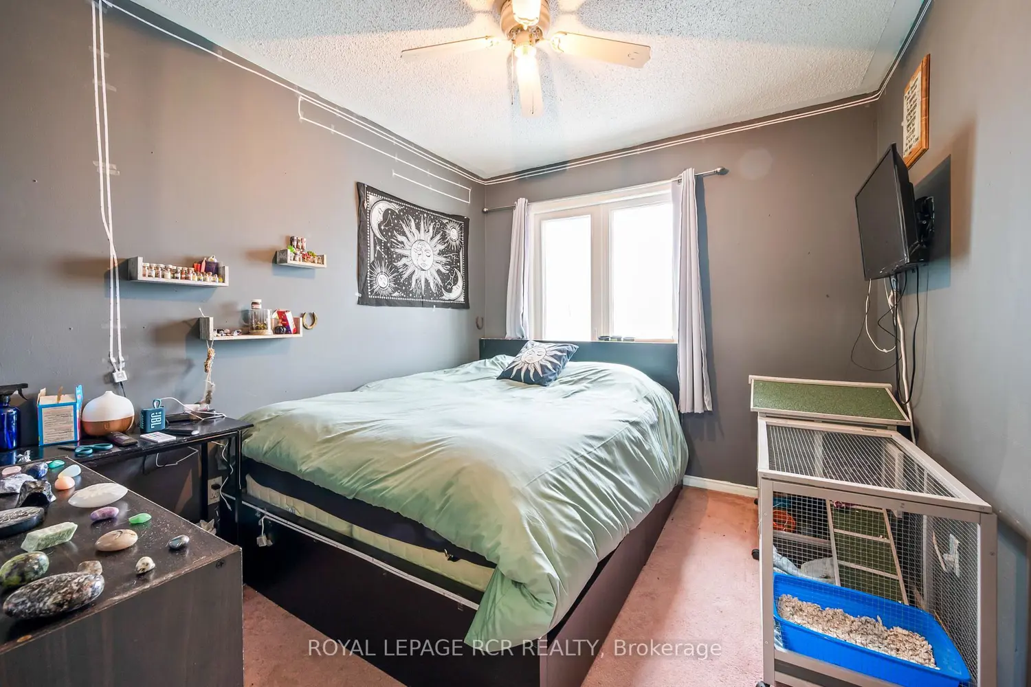 Additional image 9 of 310 Balsam Street