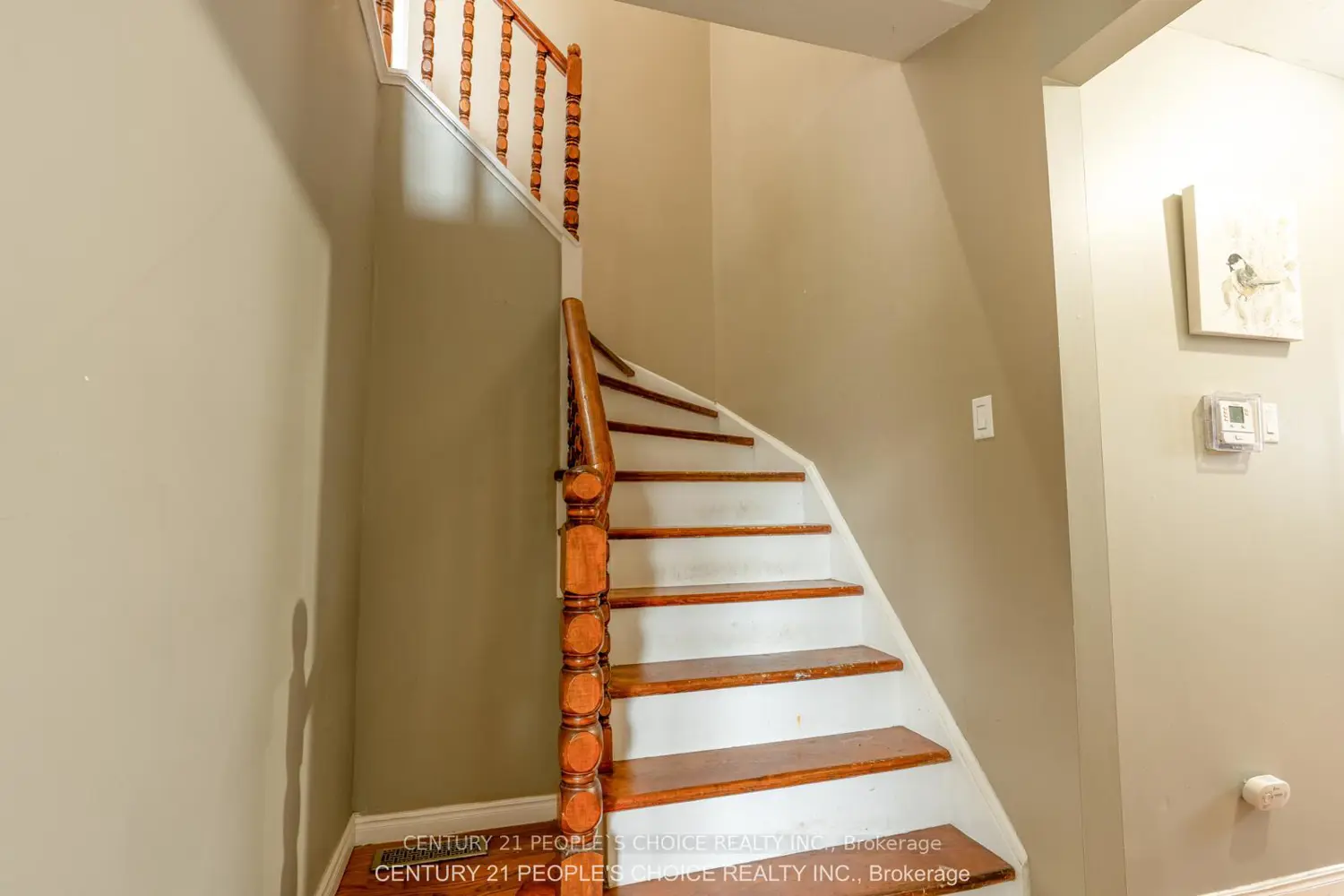 Additional image 13 of 218 Angeline Street