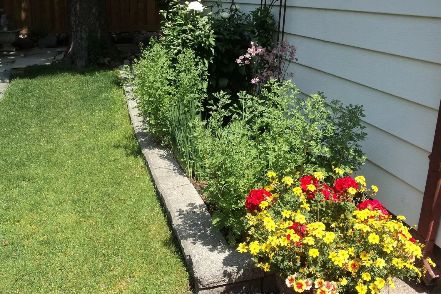 Additional image 20 of 136 Cranbrooke Avenue