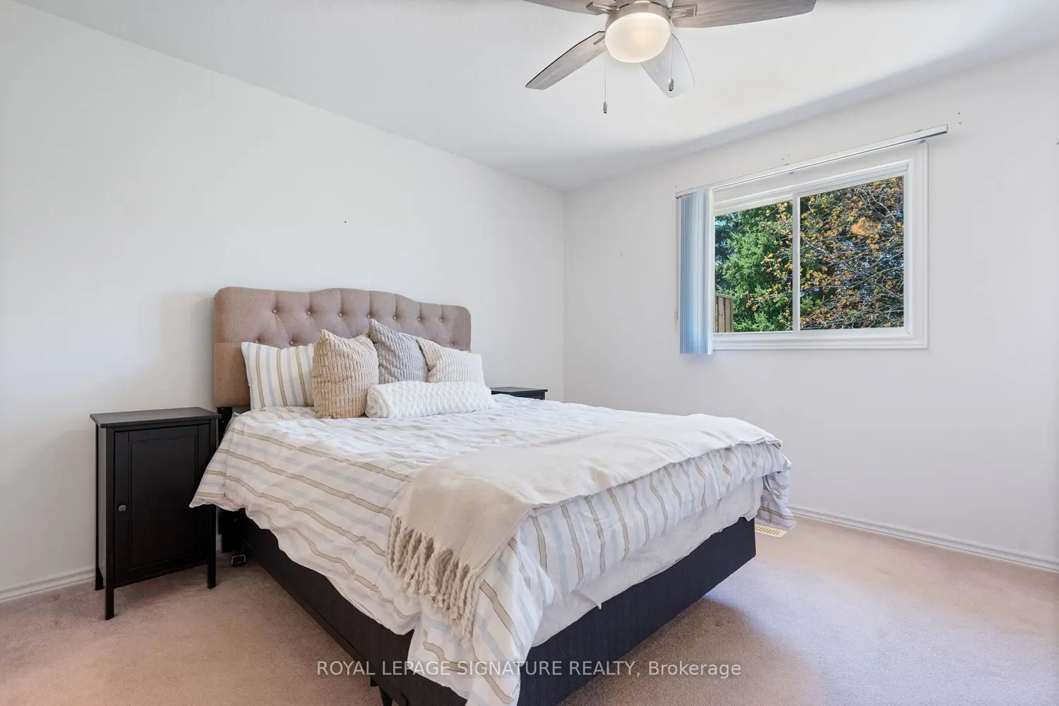 Additional image 15 of 175 Victoria Street 46