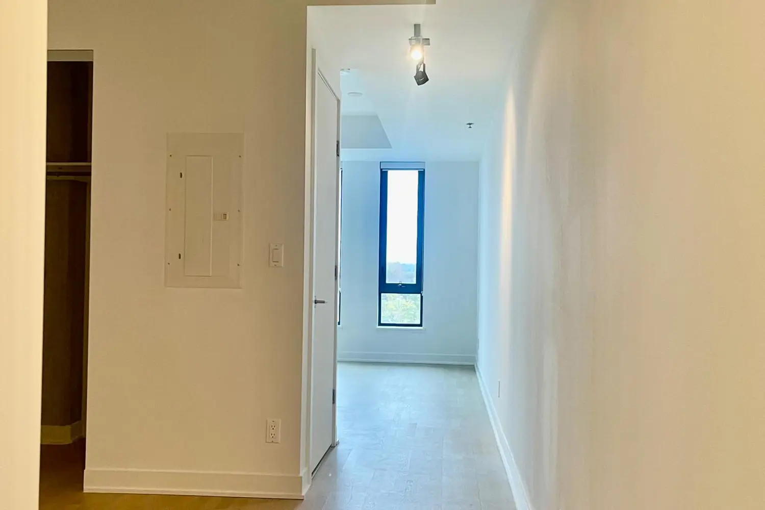 Additional image 3 of 203 Catherine Street 705