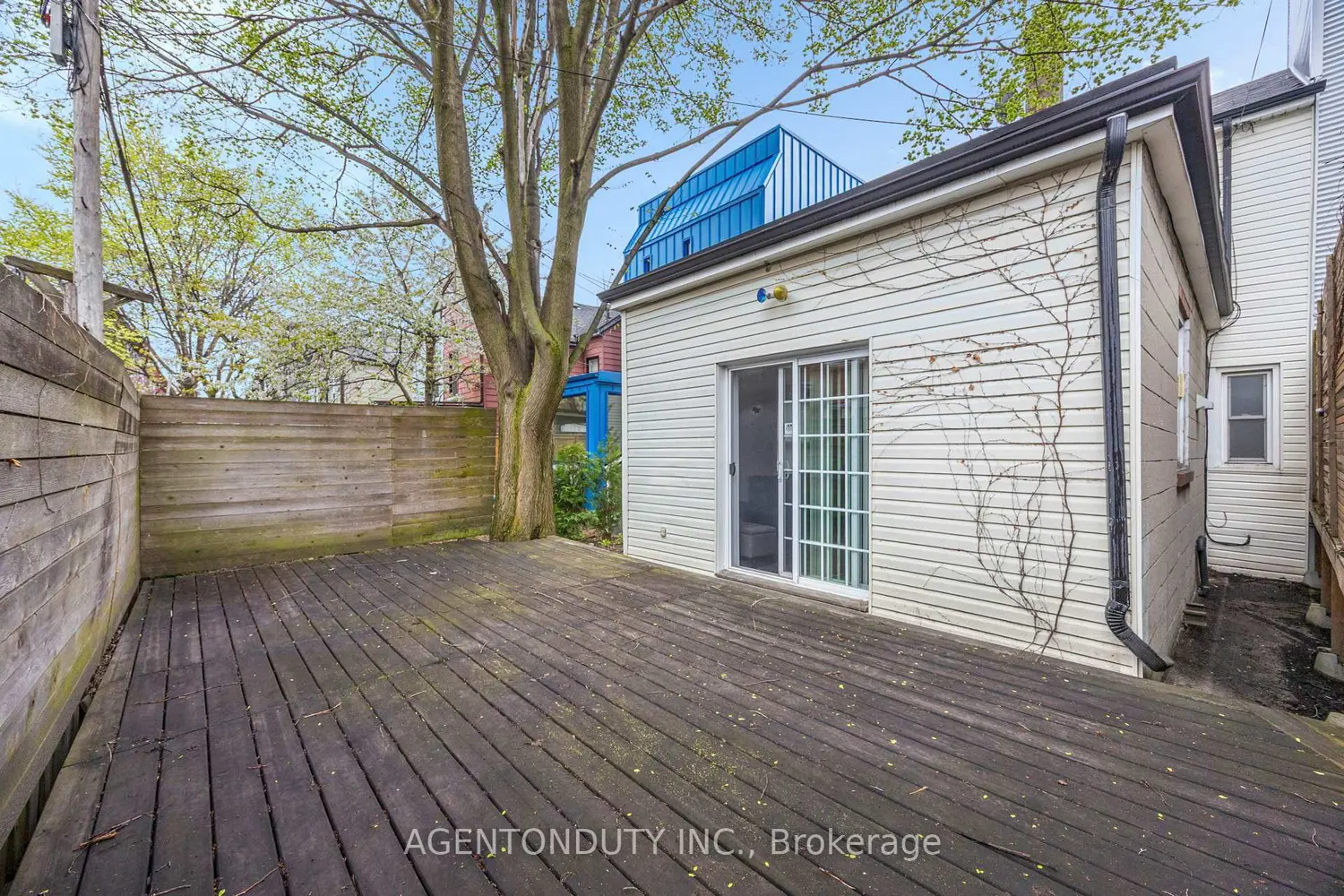 Additional image 17 of 269 Claremont Street