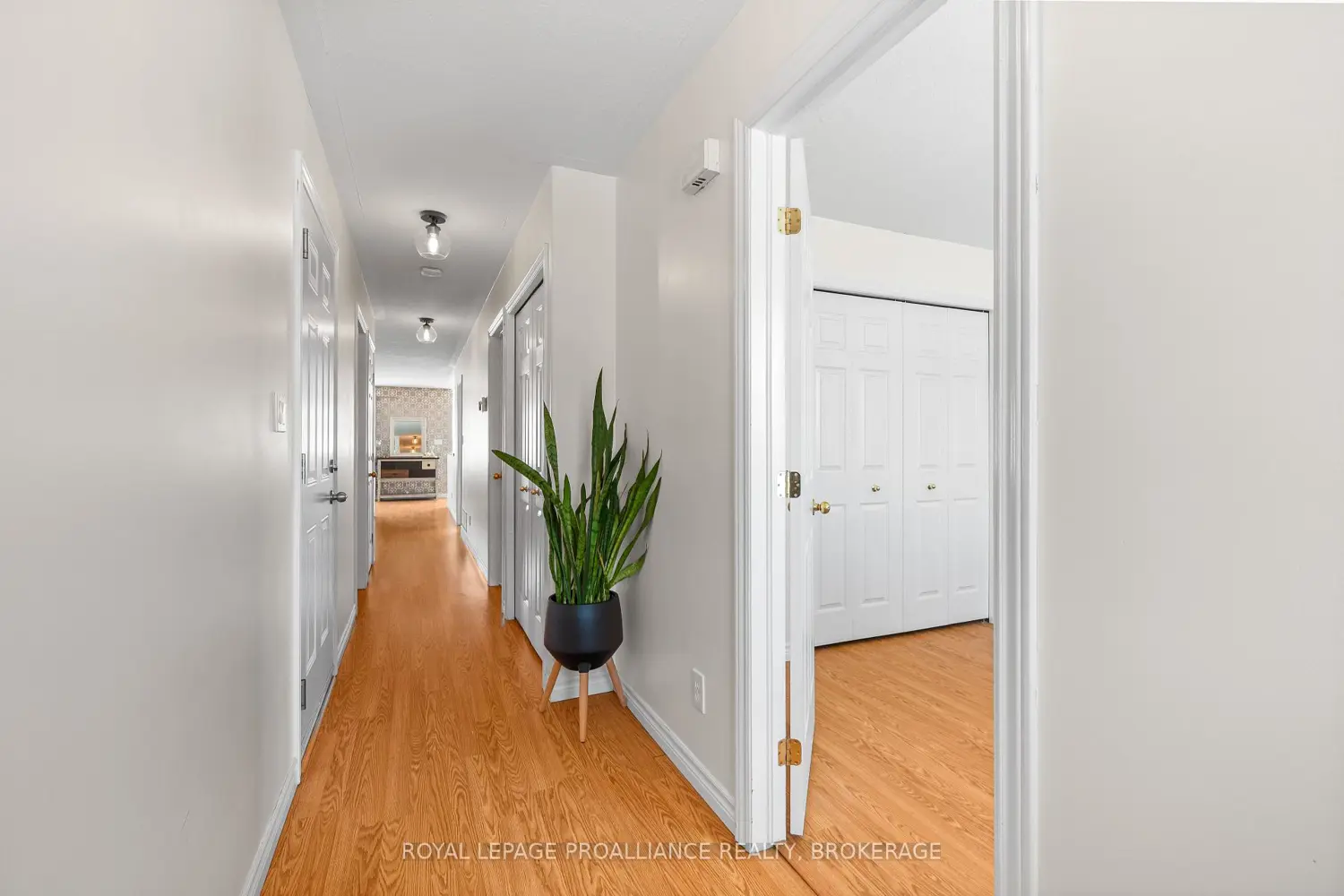Additional image 4 of 51 Wiley Street