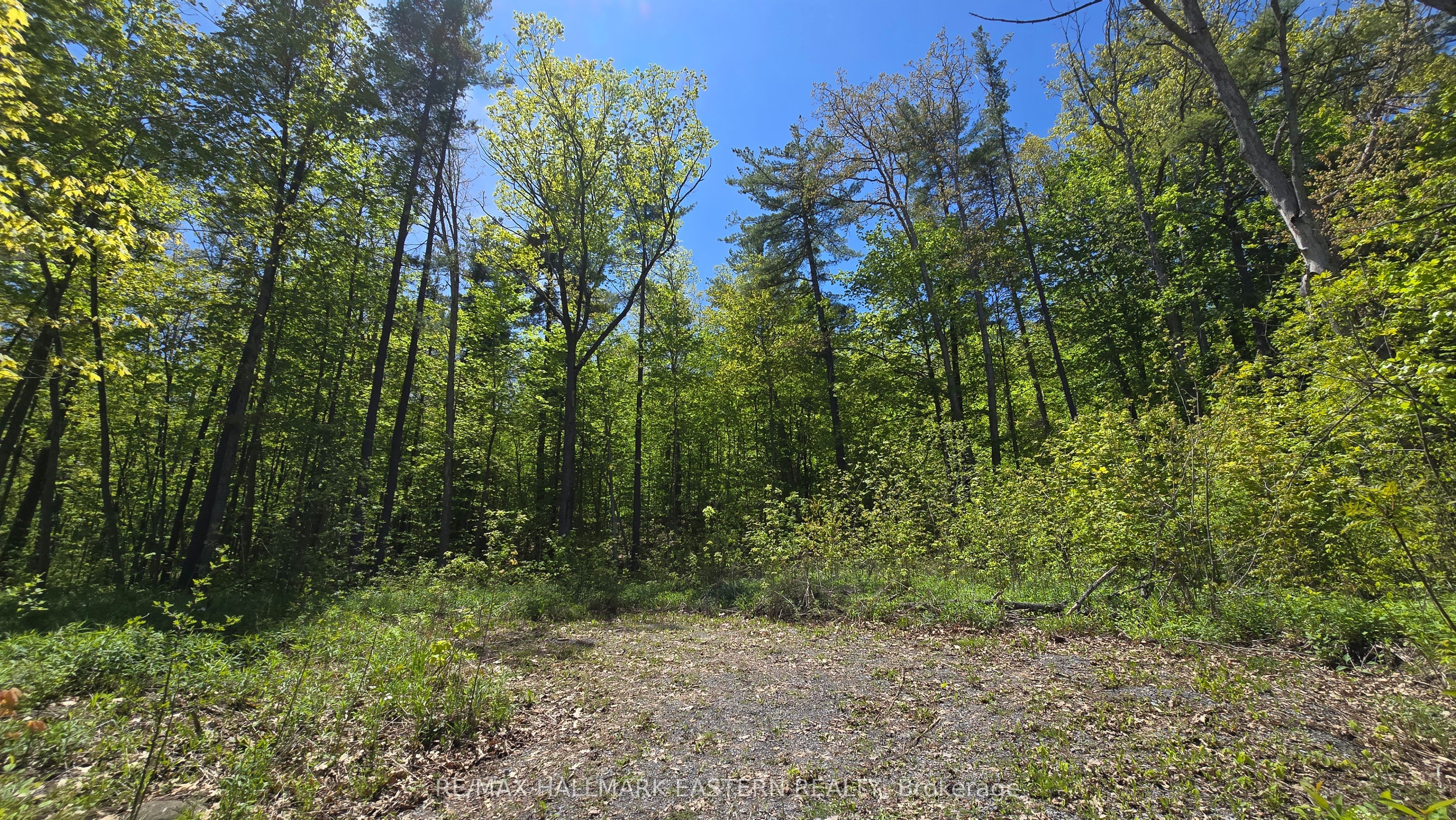 Additional image 3 of N/A County Road 30 N/a, Trent Hills, ON, K0L 1L0
