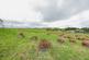 Additional image 31 of Forrest Road, Shotts ML7