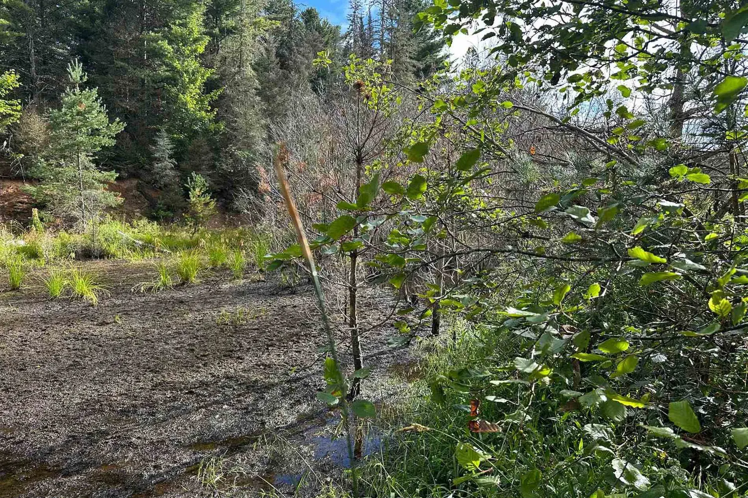 Additional image 20 of 212 Weiler Line