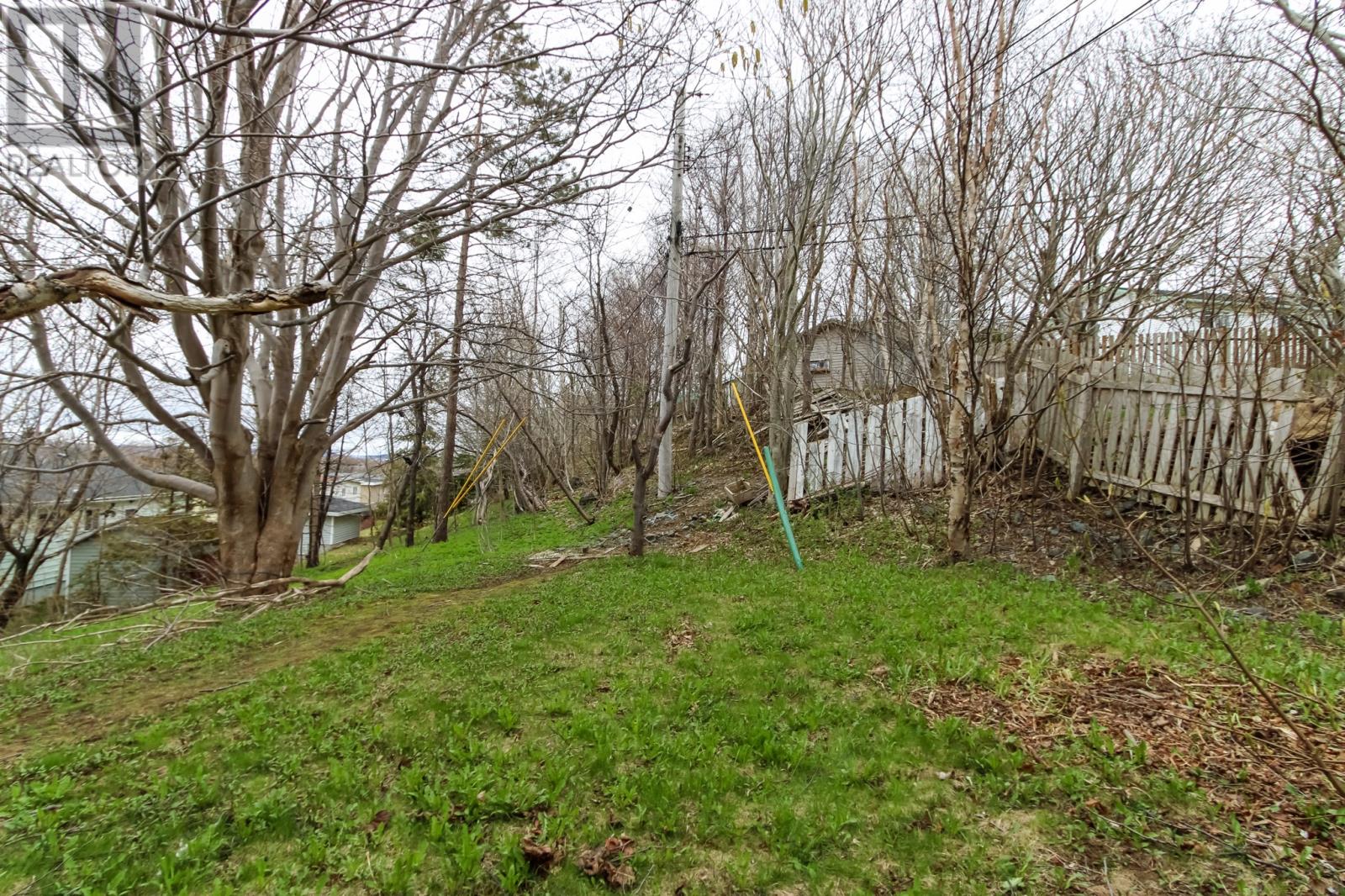 16 Polina Road, St. John's, NL, A1B3K7 photo 4
