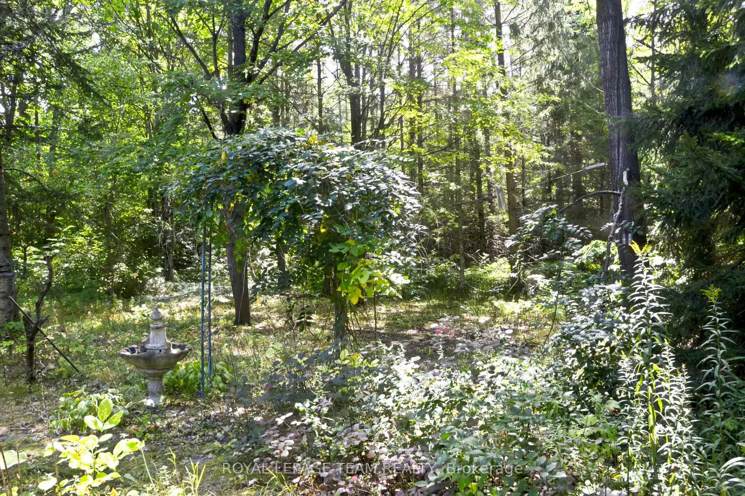 Additional image 14 of 4465 Carman Road
