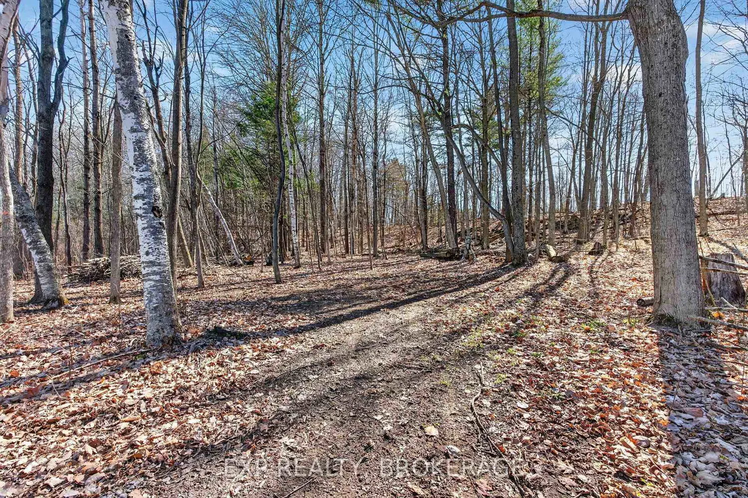 Additional image 15 of 5576 Mcfadden Road