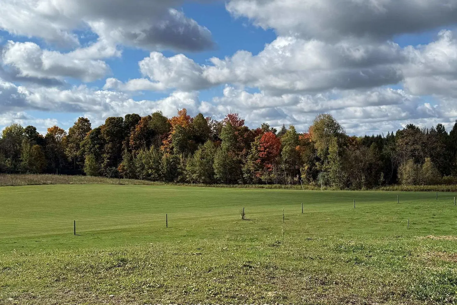 Additional image 19 of 5031 Herald Road