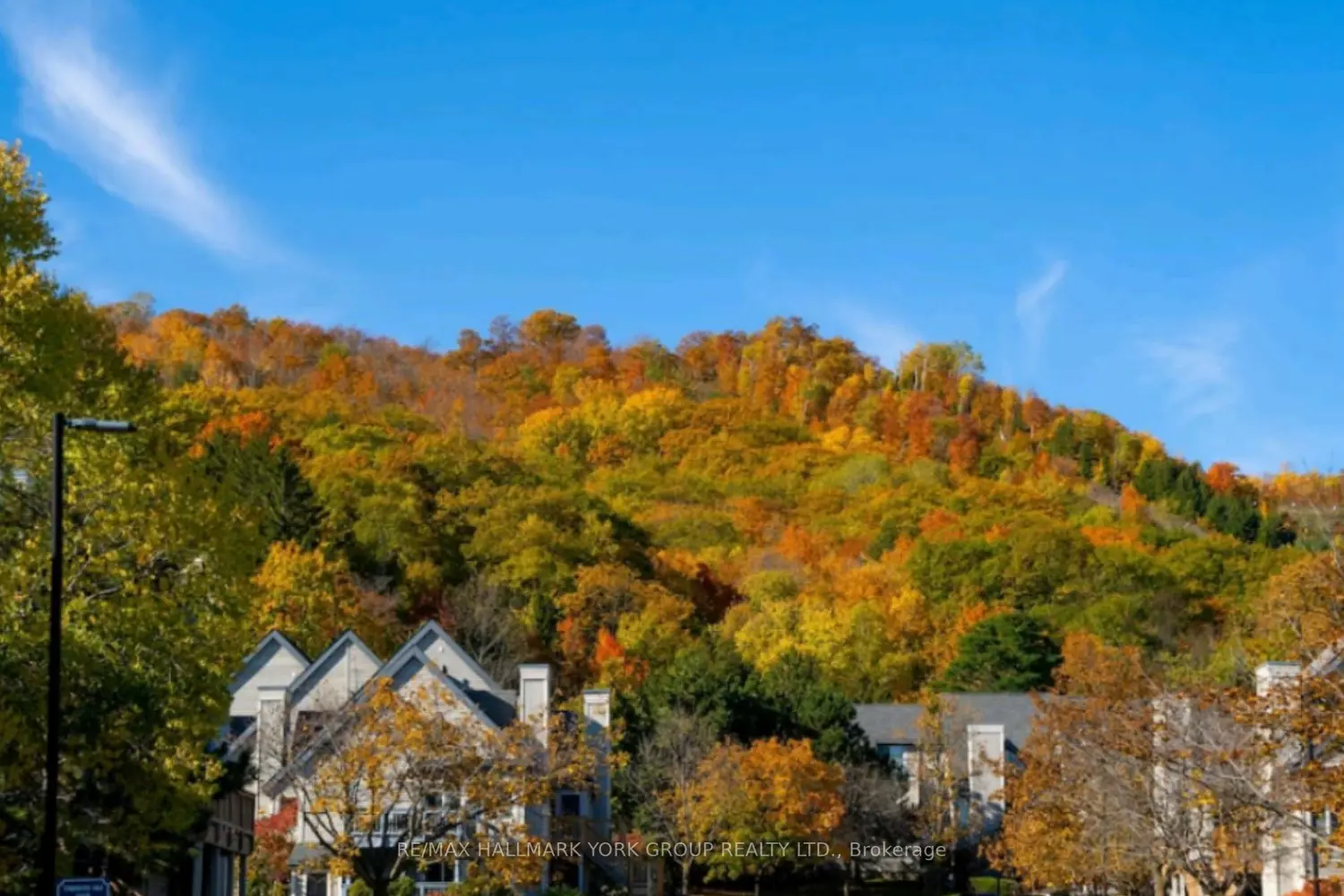 Additional image 9 of 796468 19 Grey Road 514