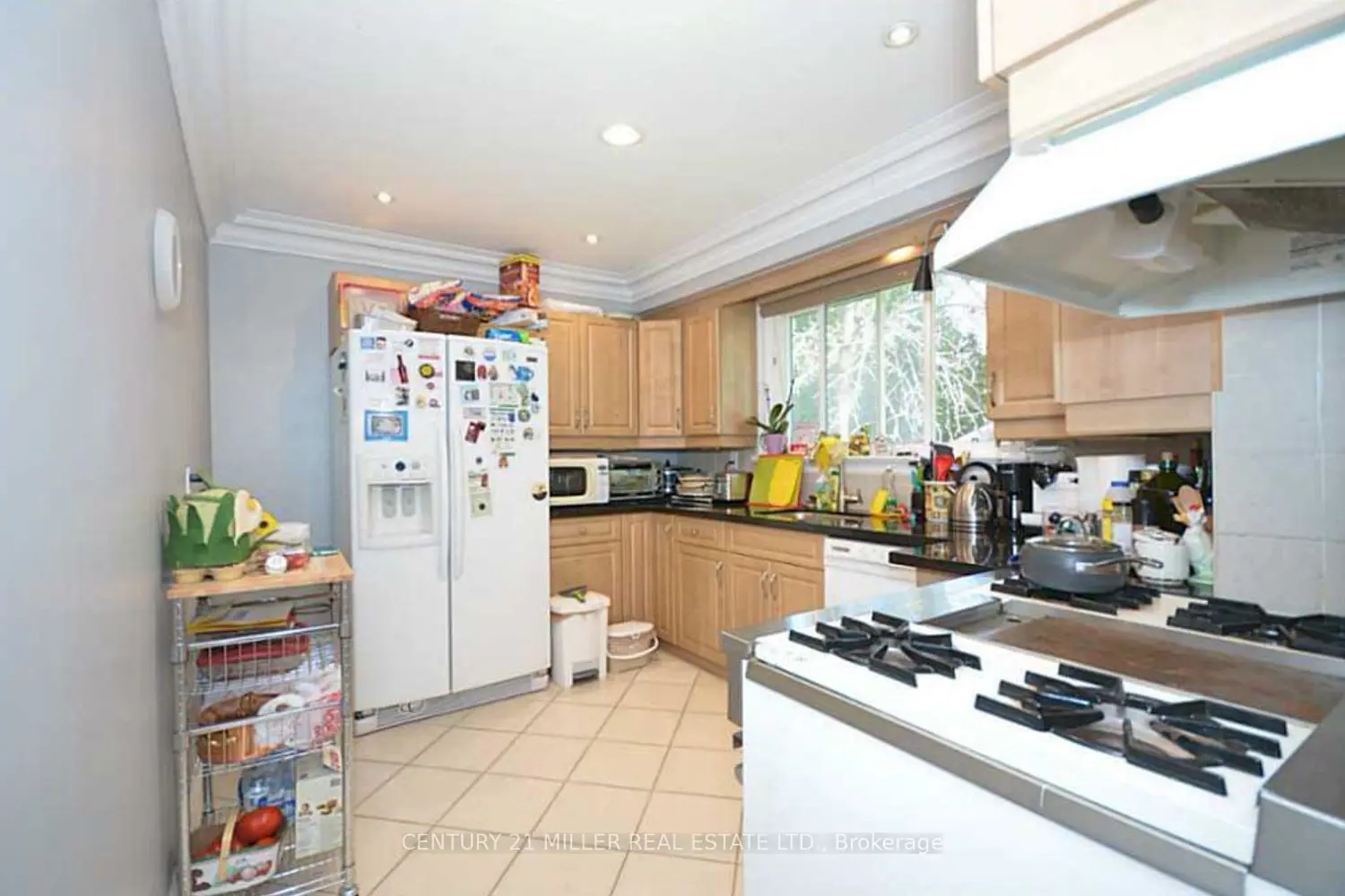 Additional image 3 of 469 Scarsdale Crescent