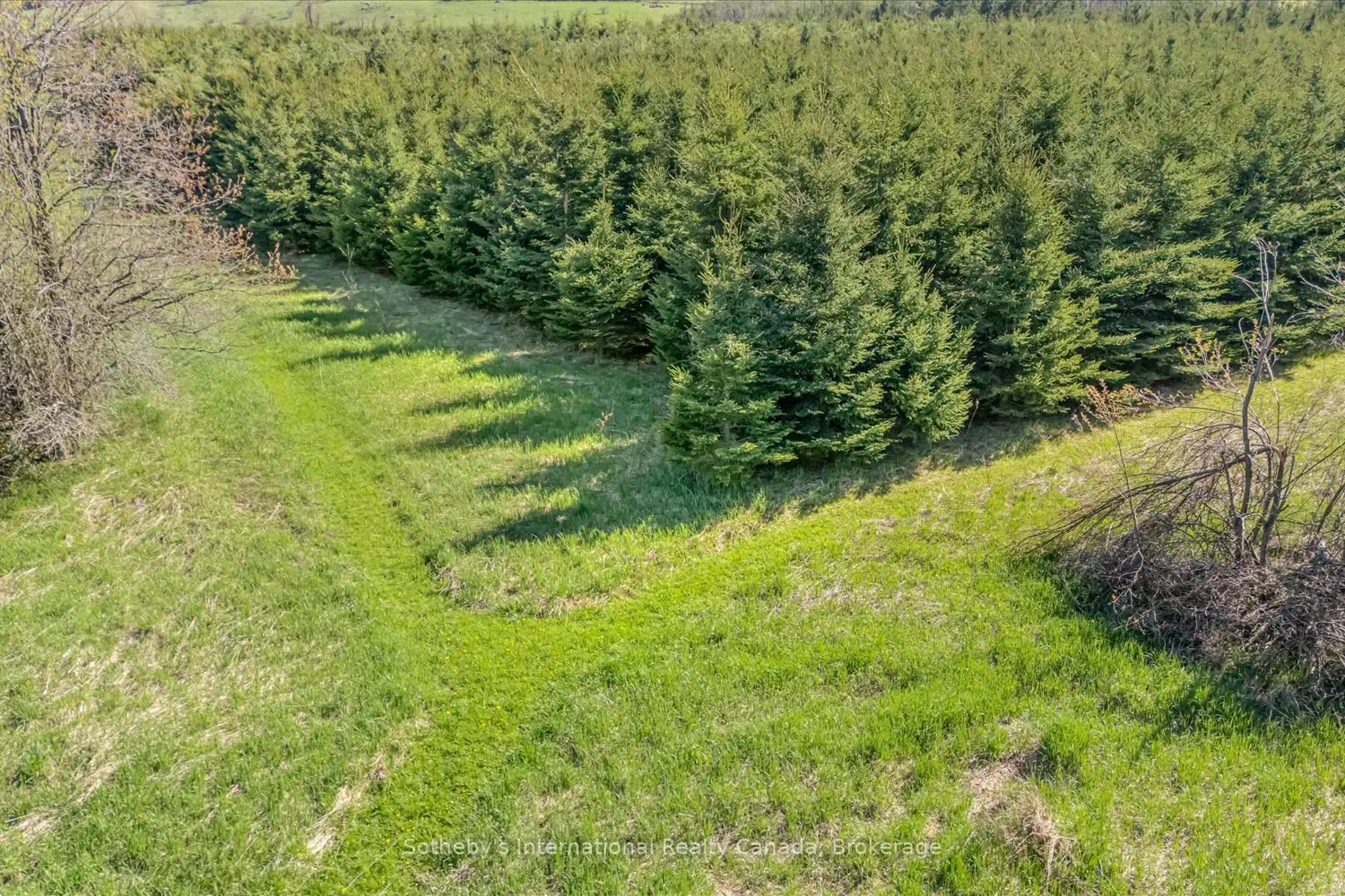 Additional image 12 of 717218 1St Line