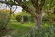 Additional image 22 of Rural setting Nr. Wookey